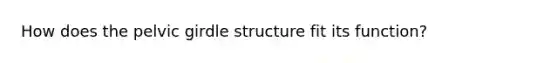 How does the pelvic girdle structure fit its function?