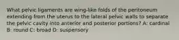 What pelvic ligaments are wing-like folds of the peritoneum extending from the uterus to the lateral pelvic walls to separate the pelvic cavity into anterior and posterior portions? A: cardinal B: round C: broad D: suspensory