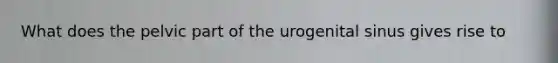 What does the pelvic part of the urogenital sinus gives rise to