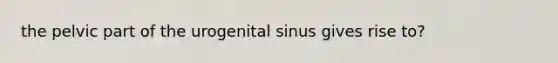 the pelvic part of the urogenital sinus gives rise to?