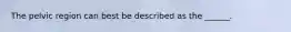 The pelvic region can best be described as the ______.