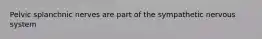 Pelvic splanchnic nerves are part of the sympathetic nervous system