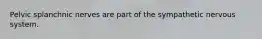 Pelvic splanchnic nerves are part of the sympathetic nervous system.