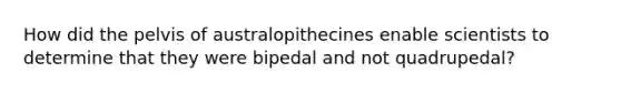 How did the pelvis of australopithecines enable scientists to determine that they were bipedal and not quadrupedal?