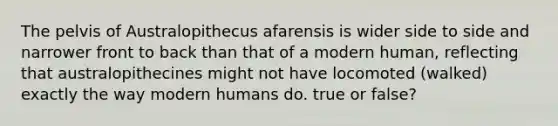 The pelvis of Australopithecus afarensis is wider side to side and narrower front to back than that of a modern human, reflecting that australopithecines might not have locomoted (walked) exactly the way modern humans do. true or false?