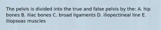 The pelvis is divided into the true and false pelvis by the: A. hip bones B. iliac bones C. broad ligaments D. iliopectineal line E. iliopsoas muscles
