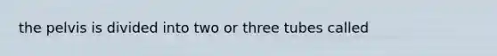 the pelvis is divided into two or three tubes called