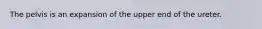 The pelvis is an expansion of the upper end of the ureter.