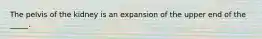 The pelvis of the kidney is an expansion of the upper end of the _____.