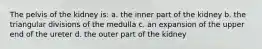 The pelvis of the kidney is: a. the inner part of the kidney b. the triangular divisions of the medulla c. an expansion of the upper end of the ureter d. the outer part of the kidney