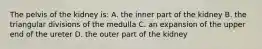 The pelvis of the kidney is: A. the inner part of the kidney B. the triangular divisions of the medulla C. an expansion of the upper end of the ureter D. the outer part of the kidney