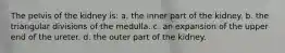 The pelvis of the kidney is: a. the inner part of the kidney. b. the triangular divisions of the medulla. c. an expansion of the upper end of the ureter. d. the outer part of the kidney.