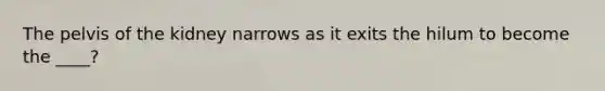 The pelvis of the kidney narrows as it exits the hilum to become the ____?