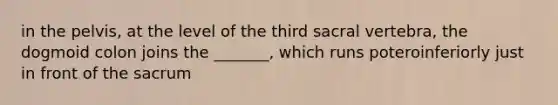 in the pelvis, at the level of the third sacral vertebra, the dogmoid colon joins the _______, which runs poteroinferiorly just in front of the sacrum