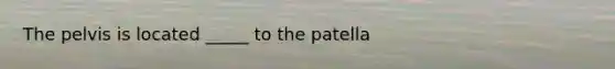 The pelvis is located _____ to the patella