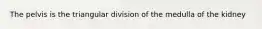 The pelvis is the triangular division of the medulla of the kidney