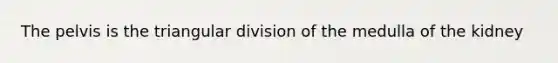 The pelvis is the triangular division of the medulla of the kidney