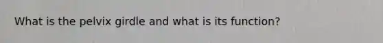 What is the pelvix girdle and what is its function?