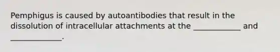 Pemphigus is caused by autoantibodies that result in the dissolution of intracellular attachments at the ____________ and _____________.