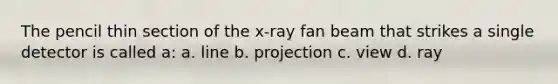 The pencil thin section of the x-ray fan beam that strikes a single detector is called a: a. line b. projection c. view d. ray