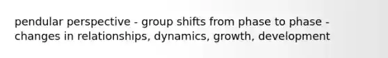 pendular perspective - group shifts from phase to phase - changes in relationships, dynamics, growth, development