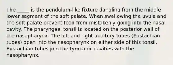 The _____ is the pendulum-like fixture dangling from the middle lower segment of the soft palate. When swallowing the uvula and the soft palate prevent food from mistakenly going into the nasal cavity. The pharyngeal tonsil is located on the posterior wall of the nasopharynx. The left and right auditory tubes (Eustachian tubes) open into the nasopharynx on either side of this tonsil. Eustachian tubes join the tympanic cavities with the nasopharynx.