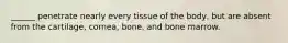 ______ penetrate nearly every tissue of the body, but are absent from the cartilage, cornea, bone, and bone marrow.