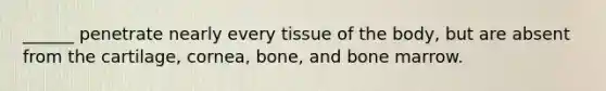 ______ penetrate nearly every tissue of the body, but are absent from the cartilage, cornea, bone, and bone marrow.