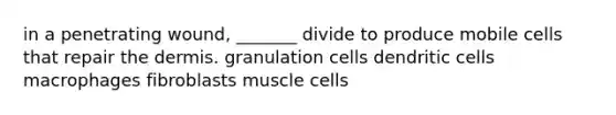 in a penetrating wound, _______ divide to produce mobile cells that repair <a href='https://www.questionai.com/knowledge/kEsXbG6AwS-the-dermis' class='anchor-knowledge'>the dermis</a>. granulation cells dendritic cells macrophages fibroblasts muscle cells