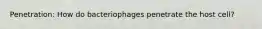 Penetration: How do bacteriophages penetrate the host cell?