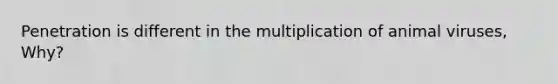 Penetration is different in the multiplication of animal viruses, Why?