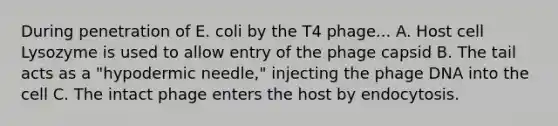 During penetration of E. coli by the T4 phage... A. Host cell Lysozyme is used to allow entry of the phage capsid B. The tail acts as a "hypodermic needle," injecting the phage DNA into the cell C. The intact phage enters the host by endocytosis.