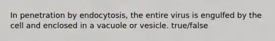 In penetration by endocytosis, the entire virus is engulfed by the cell and enclosed in a vacuole or vesicle. true/false