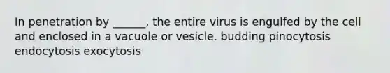 In penetration by ______, the entire virus is engulfed by the cell and enclosed in a vacuole or vesicle. budding pinocytosis endocytosis exocytosis