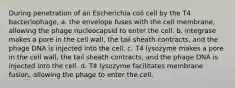 During penetration of an Escherichia coli cell by the T4 bacteriophage, a. the envelope fuses with the cell membrane, allowing the phage nucleocapsid to enter the cell. b. integrase makes a pore in the cell wall, the tail sheath contracts, and the phage DNA is injected into the cell. c. T4 lysozyme makes a pore in the cell wall, the tail sheath contracts, and the phage DNA is injected into the cell. d. T4 lysozyme facilitates membrane fusion, allowing the phage to enter the cell.