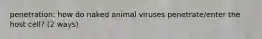 penetration: how do naked animal viruses penetrate/enter the host cell? (2 ways)