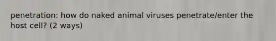 penetration: how do naked animal viruses penetrate/enter the host cell? (2 ways)