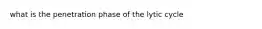 what is the penetration phase of the lytic cycle