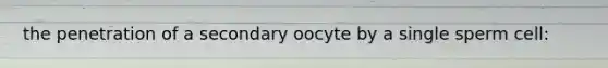 the penetration of a secondary oocyte by a single sperm cell: