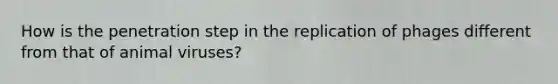 How is the penetration step in the replication of phages different from that of animal viruses?