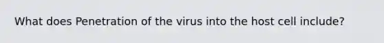 What does Penetration of the virus into the host cell include?