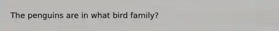The penguins are in what bird family?
