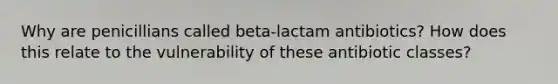 Why are penicillians called beta-lactam antibiotics? How does this relate to the vulnerability of these antibiotic classes?