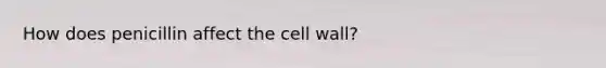 How does penicillin affect the cell wall?