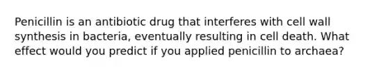 Penicillin is an antibiotic drug that interferes with cell wall synthesis in bacteria, eventually resulting in cell death. What effect would you predict if you applied penicillin to archaea?