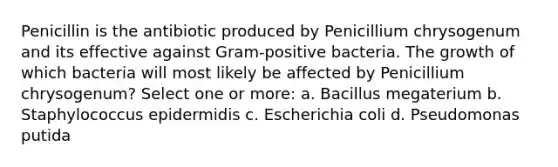 Penicillin is the antibiotic produced by Penicillium chrysogenum and its effective against Gram-positive bacteria. The growth of which bacteria will most likely be affected by Penicillium chrysogenum? Select one or more: a. Bacillus megaterium b. Staphylococcus epidermidis c. Escherichia coli d. Pseudomonas putida