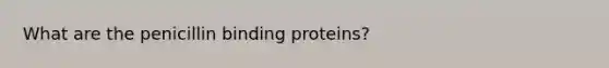 What are the penicillin binding proteins?