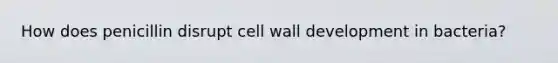 How does penicillin disrupt cell wall development in bacteria?