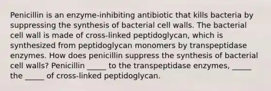 Penicillin is an enzyme-inhibiting antibiotic that kills bacteria by suppressing the synthesis of bacterial cell walls. The bacterial cell wall is made of cross-linked peptidoglycan, which is synthesized from peptidoglycan monomers by transpeptidase enzymes. How does penicillin suppress the synthesis of bacterial cell walls? Penicillin _____ to the transpeptidase enzymes, _____ the _____ of cross-linked peptidoglycan.