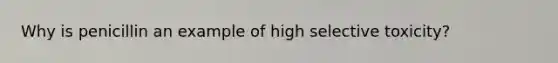 Why is penicillin an example of high selective toxicity?